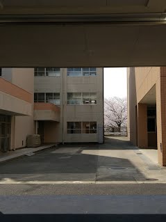 ４号館　５号館前