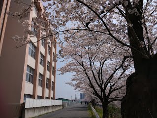 新川沿い